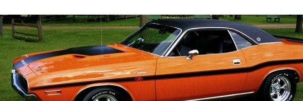 1970 Dodge Challenger R/T Side Stripes Kit